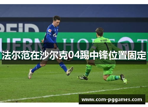 法尔范在沙尔克04踢中锋位置固定