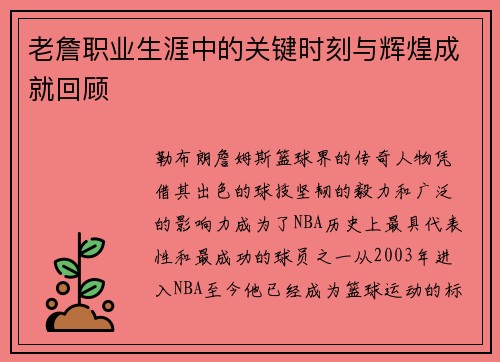 老詹职业生涯中的关键时刻与辉煌成就回顾