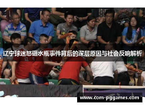 辽宁球迷怒砸水瓶事件背后的深层原因与社会反响解析