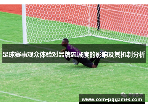 足球赛事观众体验对品牌忠诚度的影响及其机制分析