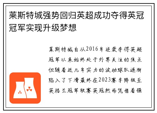 莱斯特城强势回归英超成功夺得英冠冠军实现升级梦想